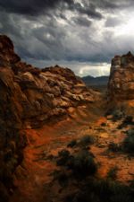 Click To View This Image