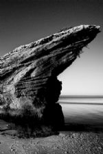 Click To View This Image