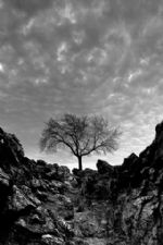 Click To View This Image