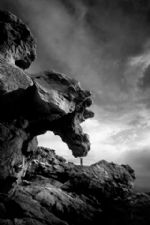 Click To View This Image