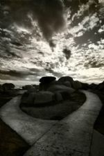 Click To View This Image