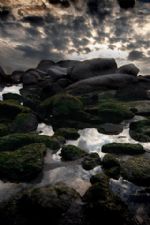 Click To View This Image