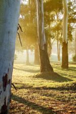 Click To View This Image