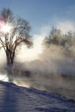 Click To View This Image