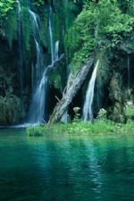 Click To View This Image