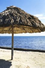 Click To View This Image