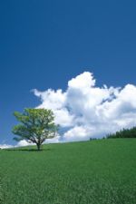 Click To View This Image