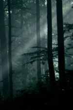 Click To View This Image