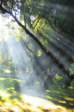 Click To View This Image