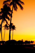 Click To View This Image