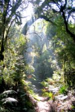 Click To View This Image