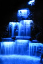 Click To View This Image