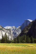 Click To View This Image