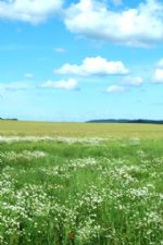 Click To View This Image