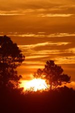 Click To View This Image