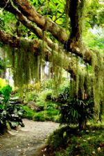 Click To View This Image