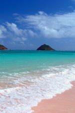 Click To View This Image