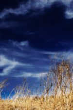 Click To View This Image