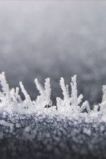 Click To View This Image