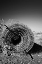 Click To View This Image