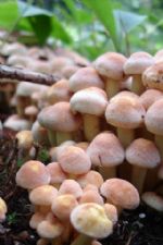 Click To View This Image