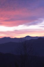 Click To View This Image