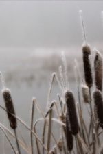 Click To View This Image