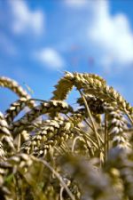 Click To View This Image