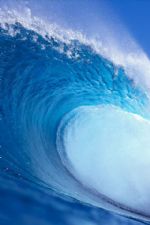 Click To View This Image