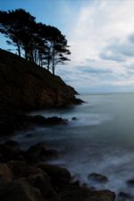 Click To View This Image