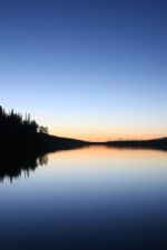 Click To View This Image