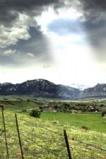 Click To View This Image