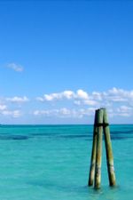 Click To View This Image