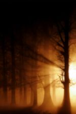 Click To View This Image