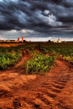 Click To View This Image