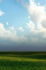 Click To View This Image