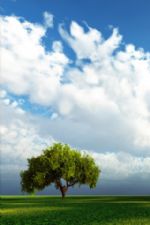 Click To View This Image