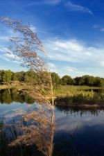 Click To View This Image