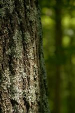 Click To View This Image