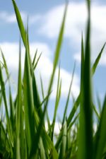 Click To View This Image