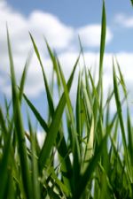 Click To View This Image