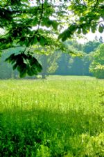 Click To View This Image