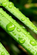 Click To View This Image