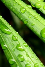 Click To View This Image