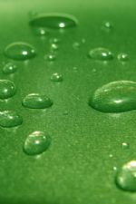 Click To View This Image