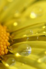 Click To View This Image