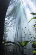 Click To View This Image