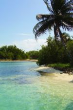 Click To View This Image