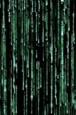 Click To View This Image