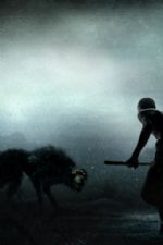 Click To View This Image